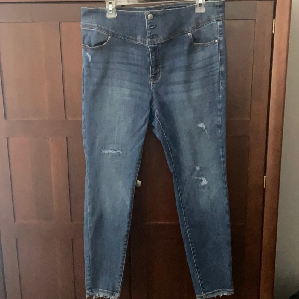 Lane Bryant High Waist Jeggings